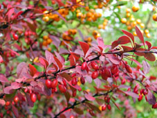 第4回美生活サロン